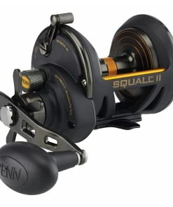 Conventional Reels Penn Squall II Star Drag Reels