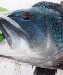 Lure Accessories Tsunami Glass Minnow Teasers -Quantum Sales image 1323