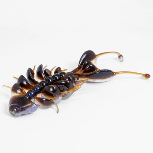 Soft Plastics Kasumi Design Dancing Bone Doctor Creature Bait 4 Soft Plastics Kasumi Design Dancing Bone Doctor Creature Bait - Image 2