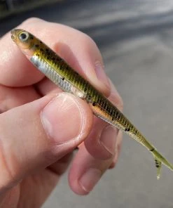 Soft Plastics Fish Arrow Flash-J Split