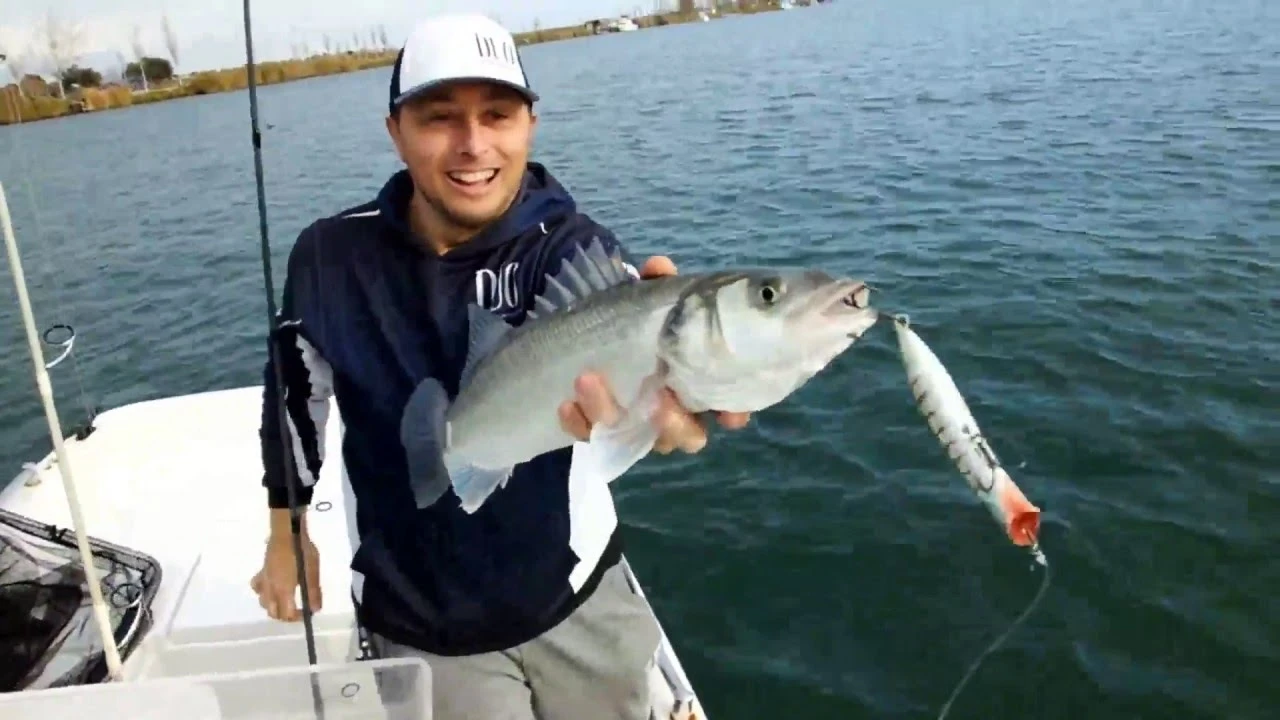 Hard Baits Duo Realis Pencil Popper 148SW Limited 4 Hard Baits Duo Realis Pencil Popper 148SW Limited - Image 2