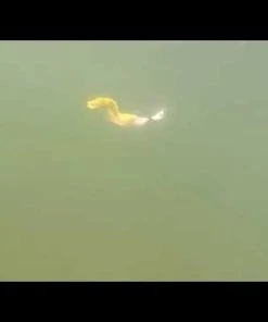 Trailers Otter Short Tails 9 Trailers Otter Short Tails -Quantum Sales image 1397