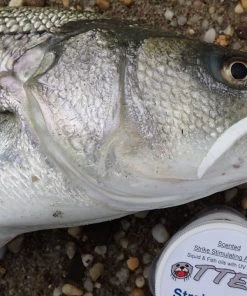 Trailers Otter Short Tails 10 Trailers Otter Short Tails -Quantum Sales image 1398