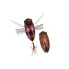 Hard Baits Duo Realis Dekashinmushi Cicada Bug 1 Hard Baits Duo Realis Dekashinmushi Cicada Bug -Quantum Sales image 1475
