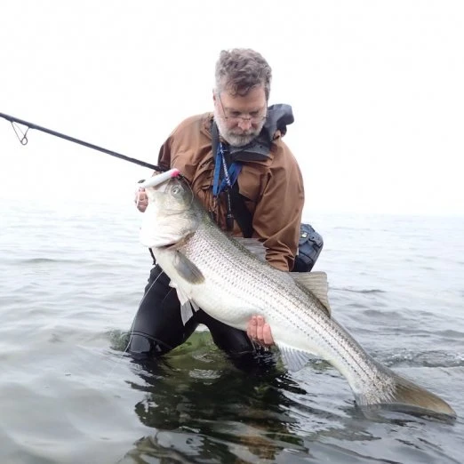 Hard Baits Tsunami Talkin Popper XD 5 Hard Baits Tsunami Talkin Popper XD - Image 3