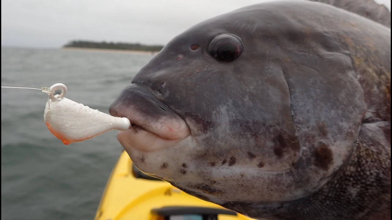 Jigs And Spoons S&S Bucktails John Skinner Porgy & Blackfish Jigs 5 Jigs And Spoons S&S Bucktails John Skinner Porgy & Blackfish Jigs - Image 3