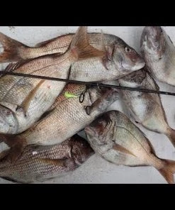 Jigs And Spoons S&S Bucktails John Skinner Porgy & Blackfish Jigs 10 Jigs And Spoons S&S Bucktails John Skinner Porgy & Blackfish Jigs -Quantum Sales image 1523