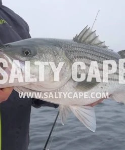 Jigs And Spoons Hogy SI Epoxy Jigs -Quantum Sales image 1536