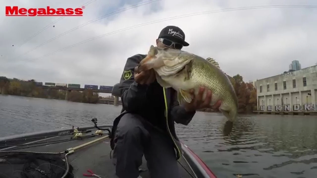 Swimbaits Megabass I-Slide 262T Swimbait 4 Swimbaits Megabass I-Slide 262T Swimbait - Image 2