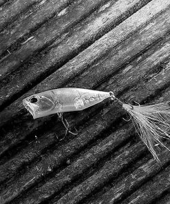 Hard Baits Duo Realis Popper 64 8 Hard Baits Duo Realis Popper 64 -Quantum Sales image 1621