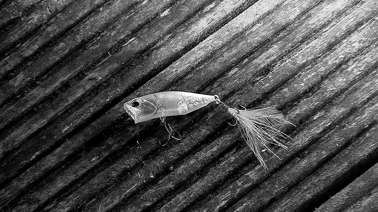 Hard Baits Duo Realis Popper 64 5 Hard Baits Duo Realis Popper 64 - Image 3