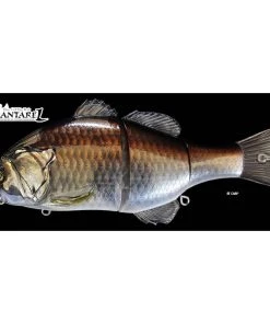 Swimbaits Jackall Gantarel