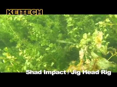 Soft Plastics Keitech Shad Impact 4 Soft Plastics Keitech Shad Impact - Image 2