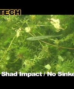 Soft Plastics Keitech Shad Impact 8 Soft Plastics Keitech Shad Impact -Quantum Sales image 1684