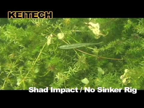 Soft Plastics Keitech Shad Impact 5 Soft Plastics Keitech Shad Impact - Image 3