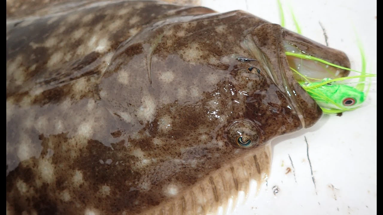 Jigs And Spoons S&S Bucktails John Skinner Fluke Bucktails 4 Jigs And Spoons S&S Bucktails John Skinner Fluke Bucktails - Image 2