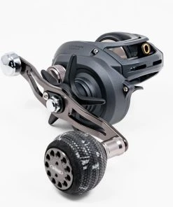 Daiwa 2020 Lexa WN Baitcasting Reels