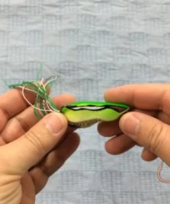 Frogs Imakatsu Boota Frog -Quantum Sales image 1841