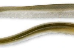 Soft Plastics Hogy Sand Eels