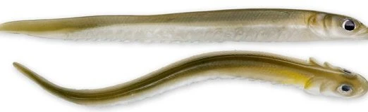 Soft Plastics Hogy Sand Eels 3 Soft Plastics Hogy Sand Eels