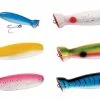 Hard Baits Tsunami Timber Lure Bottle Popper Plug 1 Hard Baits Tsunami Timber Lure Bottle Popper Plug -Quantum Sales image 1982