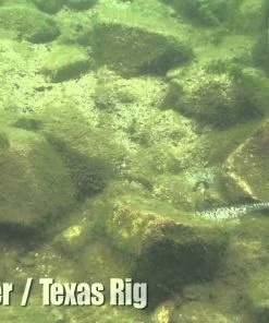 Keitech Easy Shiner Swimbaits -Quantum Sales image 1999