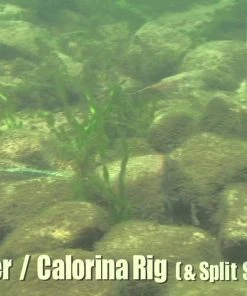 Keitech Easy Shiner Swimbaits -Quantum Sales image 2000