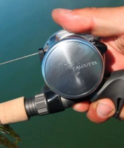 Shimano Calcutta D Baitcasting Reels 19 Shimano Calcutta D Baitcasting Reels -Quantum Sales image 382