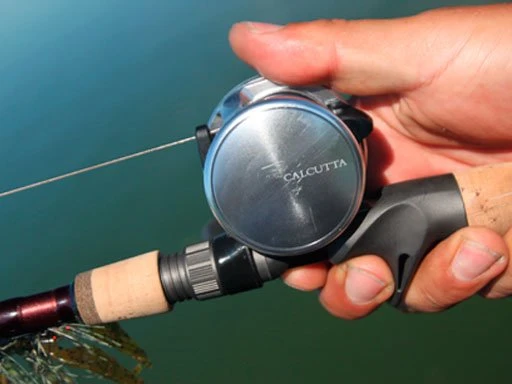 Shimano Calcutta D Baitcasting Reels 7 Shimano Calcutta D Baitcasting Reels - Image 5
