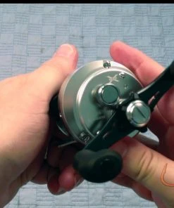 Shimano Calcutta D Baitcasting Reels 27 Shimano Calcutta D Baitcasting Reels -Quantum Sales image 390