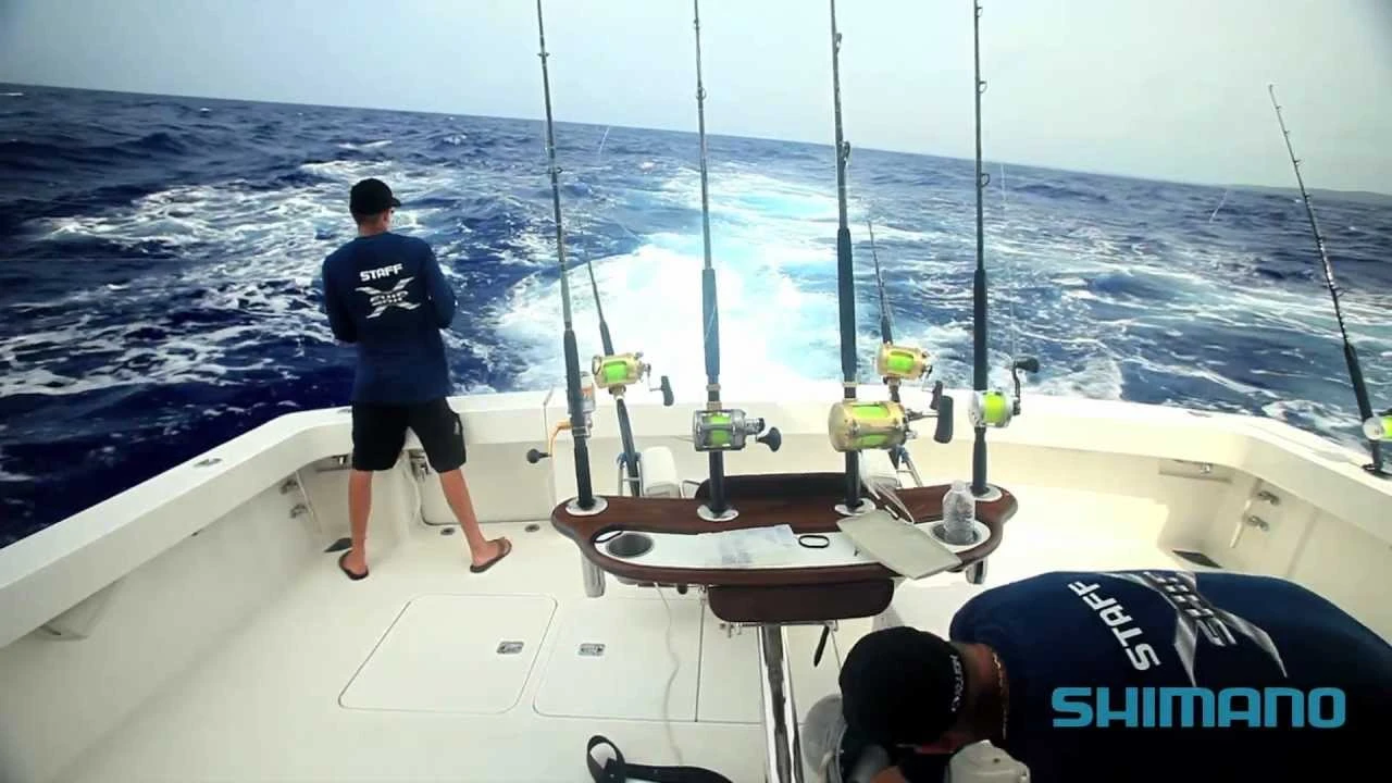 Conventional Reels Shimano Talica 20 BFC Lever Drag Reel 4 Conventional Reels Shimano Talica 20 BFC Lever Drag Reel - Image 2