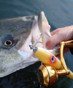 Penn Slammer III Spinning Reels 15 Penn Slammer III Spinning Reels -Quantum Sales image 600