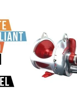 Conventional Reels Accurate Boss Valiant BV2-800 2-Speed Lever Drag Reels -Quantum Sales image 630