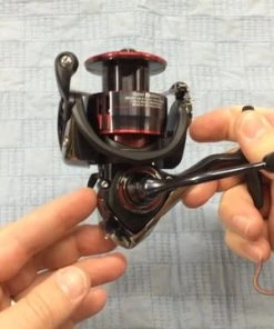 Daiwa Fuego LT Spinning Reels 5 Daiwa Fuego LT Spinning Reels -Quantum Sales image 72