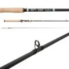G Loomis E6X Inshore Casting Rods 1 G Loomis E6X Inshore Casting Rods -Quantum Sales image 747