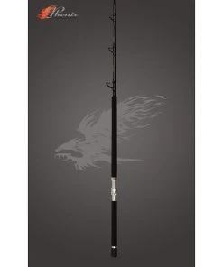 Casting Rods Phenix Axis Casting Rail Rods