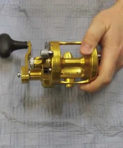 Conventional Reels Avet MXL 6/4 MC RAPTOR Lever Drag Reel 8 Conventional Reels Avet MXL 6/4 MC RAPTOR Lever Drag Reel -Quantum Sales image 91