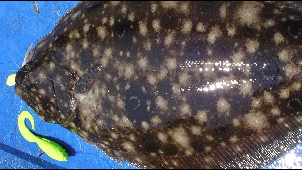 Tsunami Classic Casting Rods 9 Tsunami Classic Casting Rods - Image 7