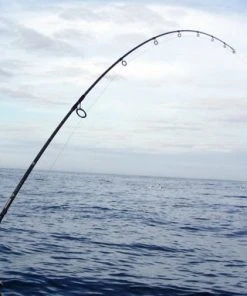 Shimano Trevala Jigging Spinning Rods 6 Shimano Trevala Jigging Spinning Rods -Quantum Sales image 979