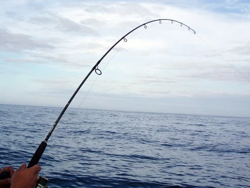 Shimano Trevala Jigging Spinning Rods 4 Shimano Trevala Jigging Spinning Rods - Image 2